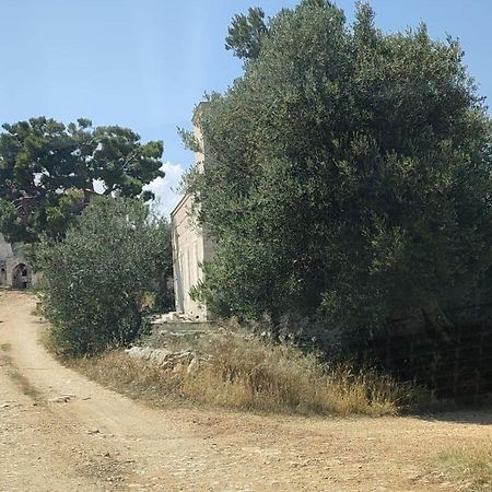 La Guendalina Masseria E Casa Particular Bed and Breakfast Monopoli Εξωτερικό φωτογραφία