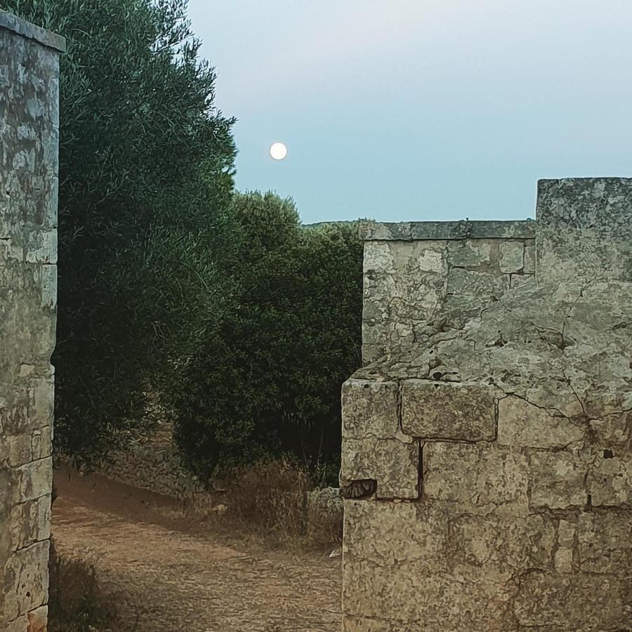 La Guendalina Masseria E Casa Particular Bed and Breakfast Monopoli Εξωτερικό φωτογραφία