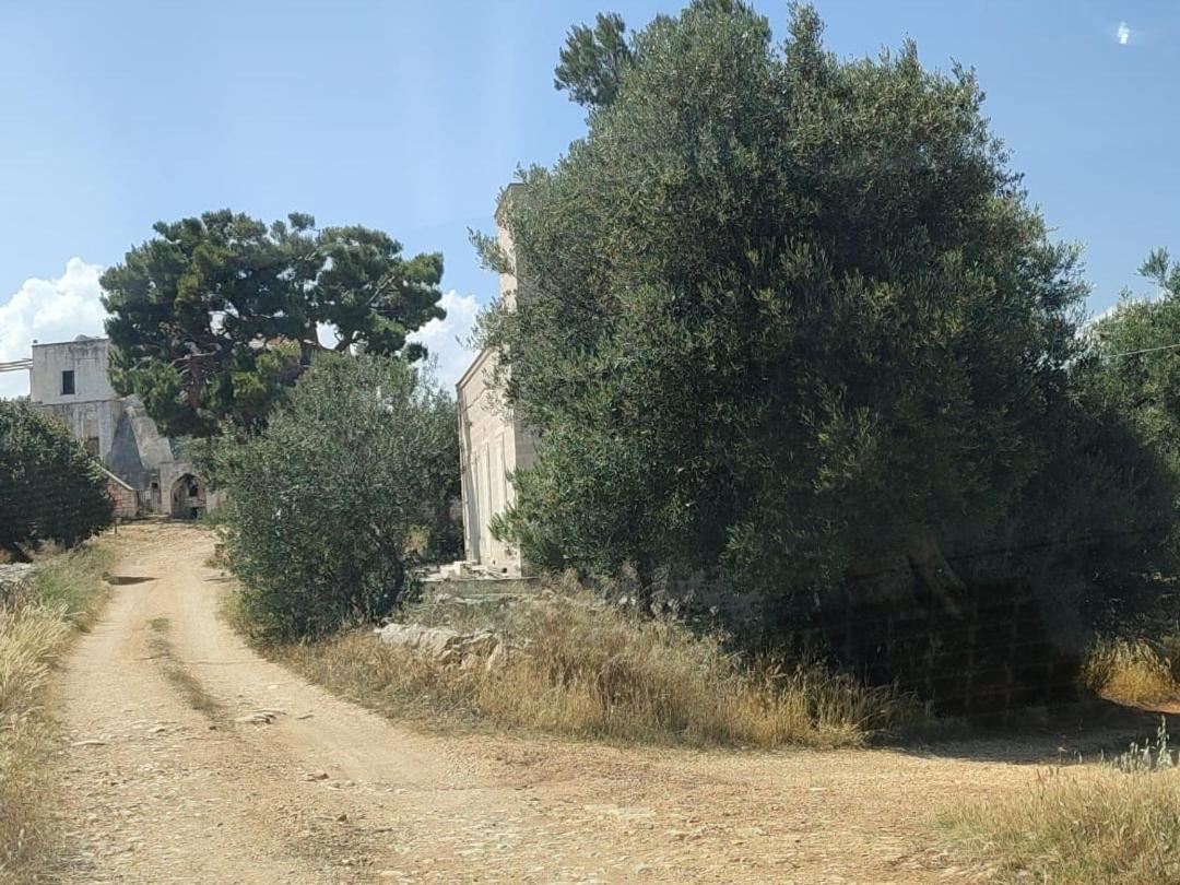 La Guendalina Masseria E Casa Particular Bed and Breakfast Monopoli Εξωτερικό φωτογραφία